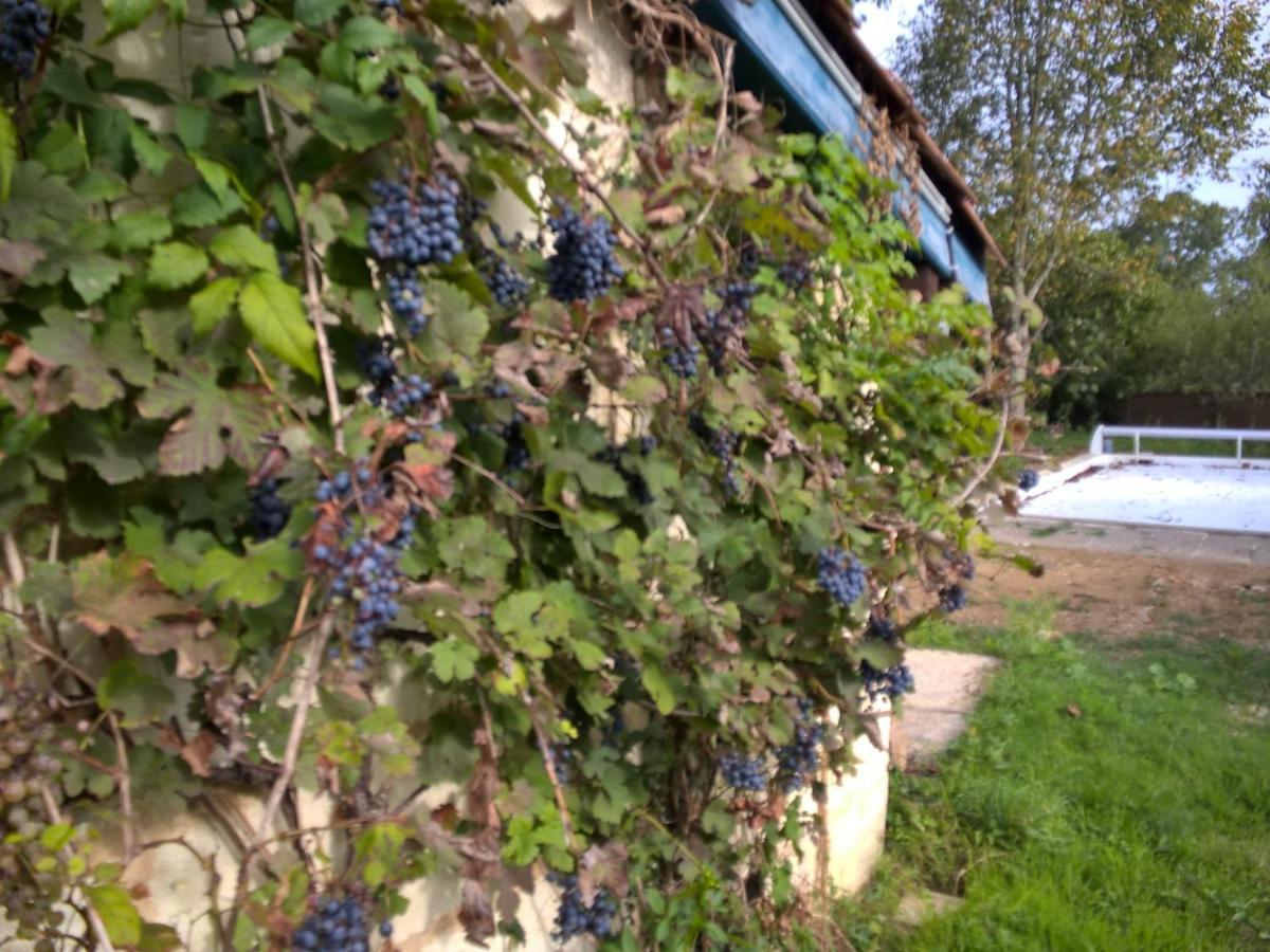 Nicely Renovated Wine-Grower House Fargues-Saint-Hilaire Esterno foto